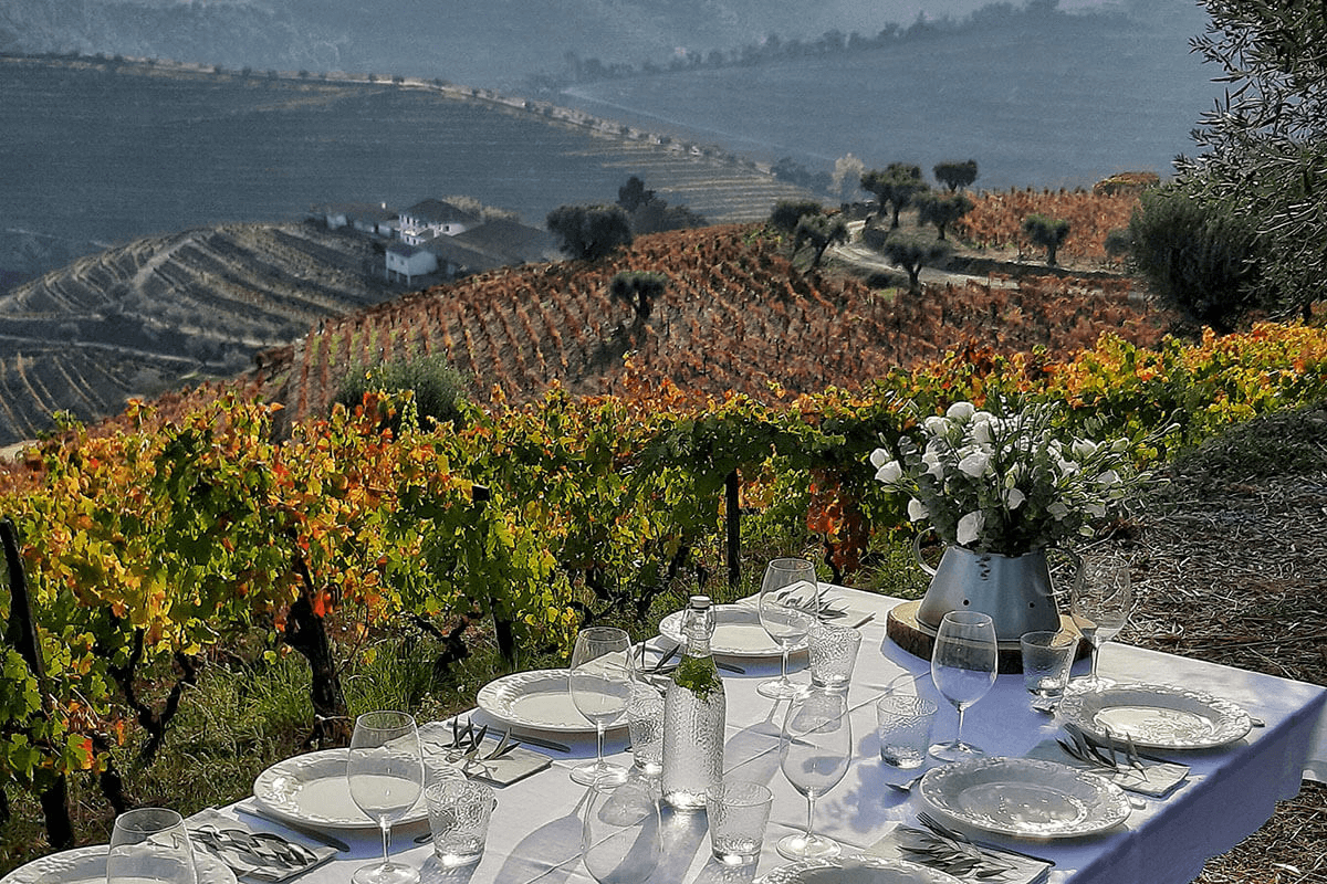 Morphosis Experiences Events 1 Morphosis Douro