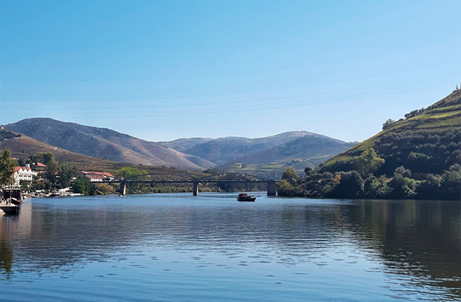 Passeio de barco no Douro Morphosis Morphosis Douro