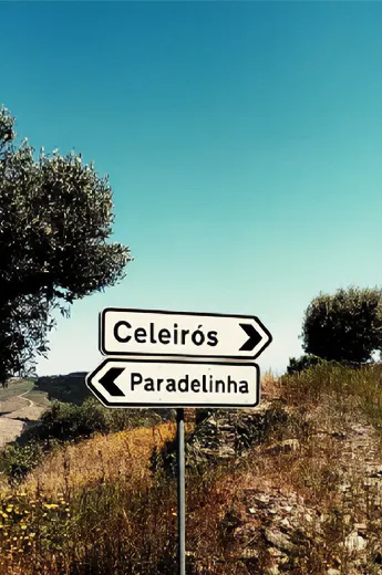 morphosis historia 4 Morphosis Douro