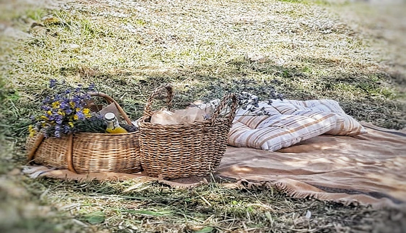 Piquenique nas vinhas do Douro com cesta, manta e ambiente natural entre a paisagem tranquila da região