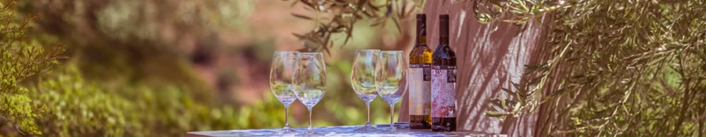 Prova de vinhos no Douro: A autenticidade em cada copo 1 Morphosis Douro morphosis prova vinhos3 Morphosis Douro
